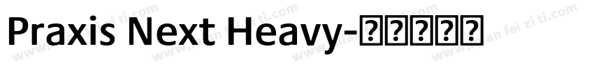 Praxis Next Heavy字体转换